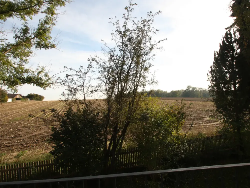 Großzügige 3-Zimmer-Wohnung mit Süd-Balkon & Blick ins Grüne, ruhige Lage