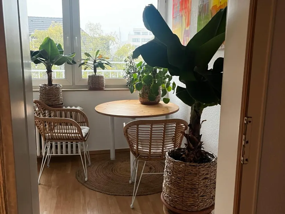 Ehrenfelder Wohnung vom 23.11.2026-03.01.2027