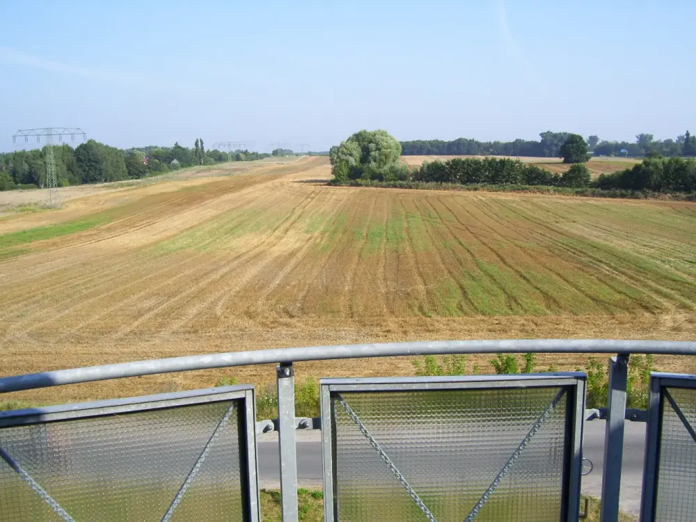 attraktive DG-Wohung mit Grünblick