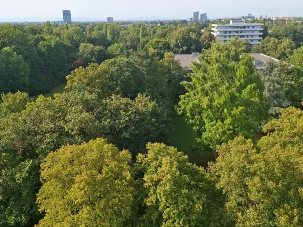 ALPENBLICK 1-Zimmer-Wohnung mit Südbalkon
