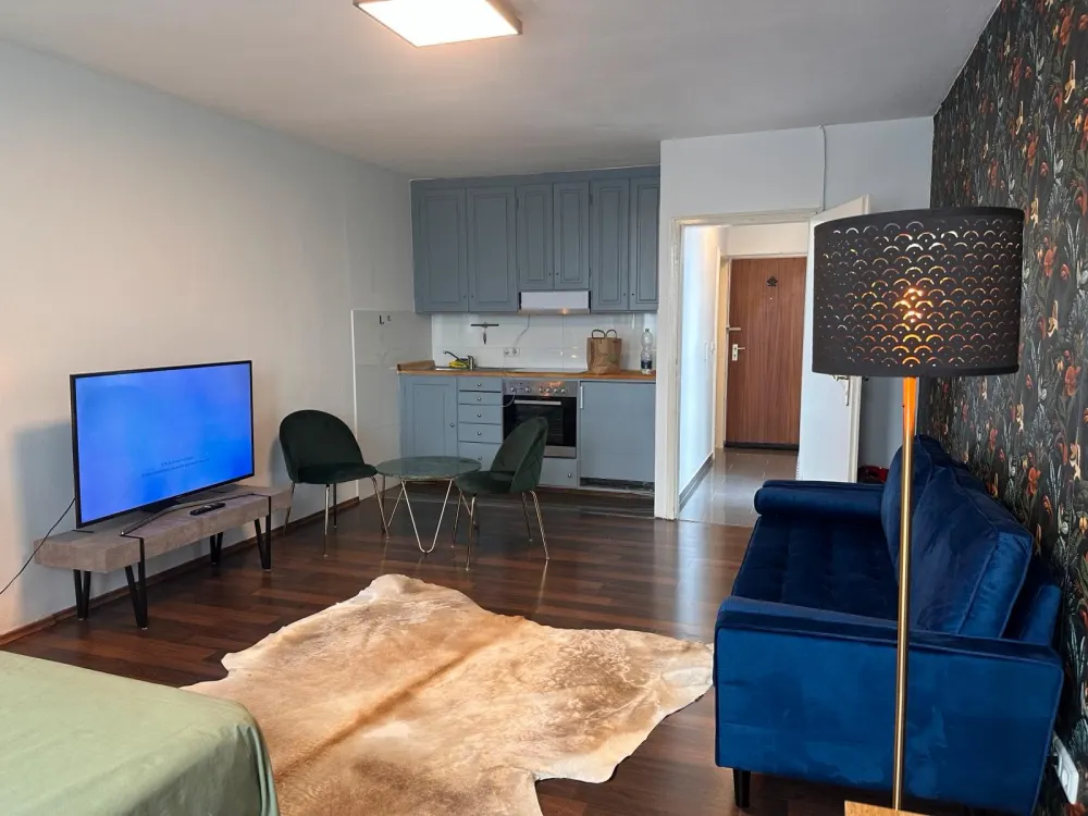 Möblierte Wohnung in Moosach