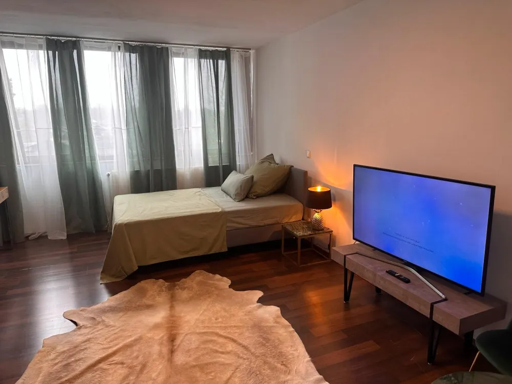 Möblierte Wohnung in Moosach