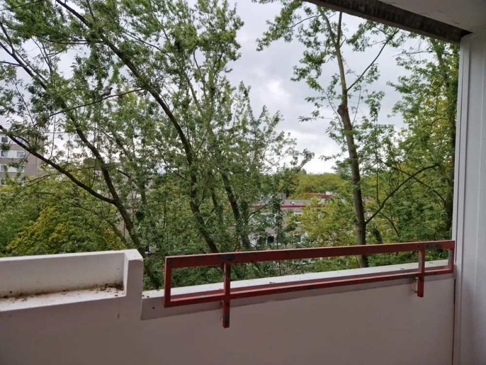 Die gefällt mir: günstig geschnittene und renovierte 2-Zimmer-Wohnung mit Balkon!