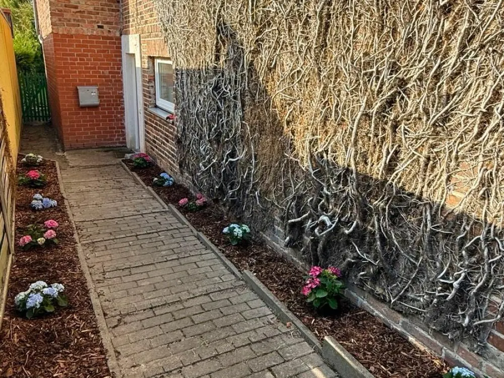 4-Zimmer-Wohnung, 400 m² Privatgarten-Reihenhausgefühl in Rostock