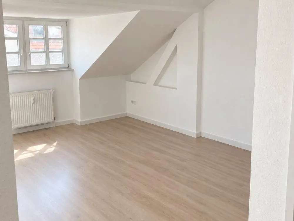 Helle, frisch renovierte 1-Zimmer-DGW mit EBK in L-Stötteritz