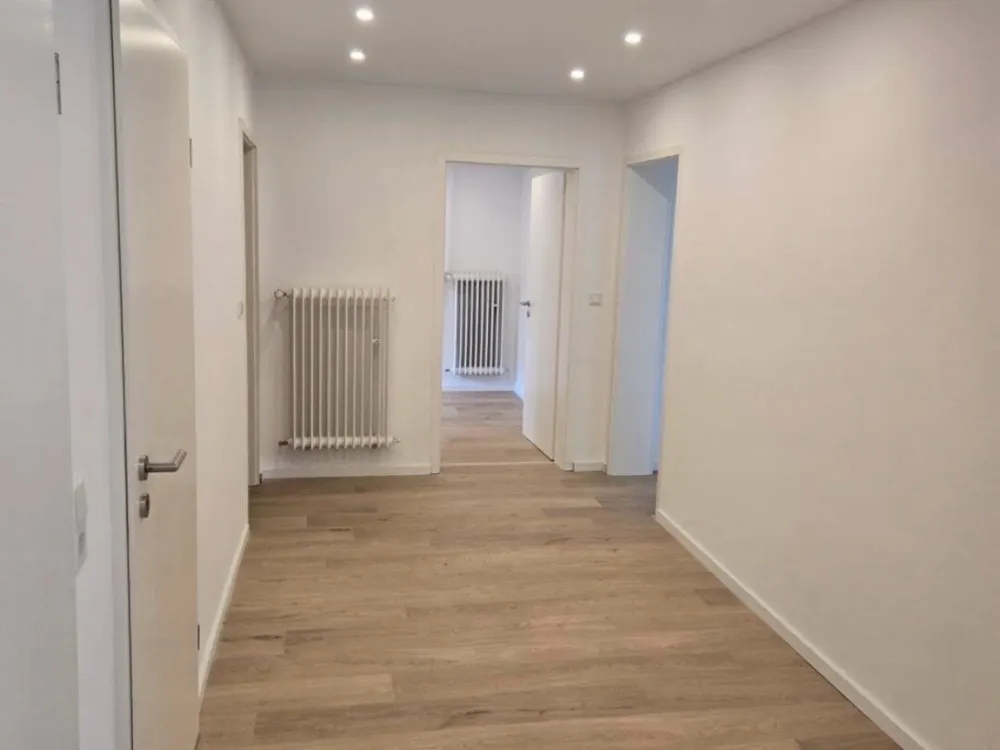 3-Zimmer-Terrassenwohnung am Rhein mit eigenem Garten+Einbauküche