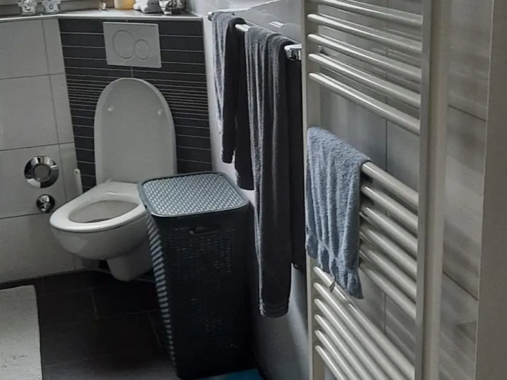 Ground Floor Apartment 3 1/2 Rooms in the Heart of Zons