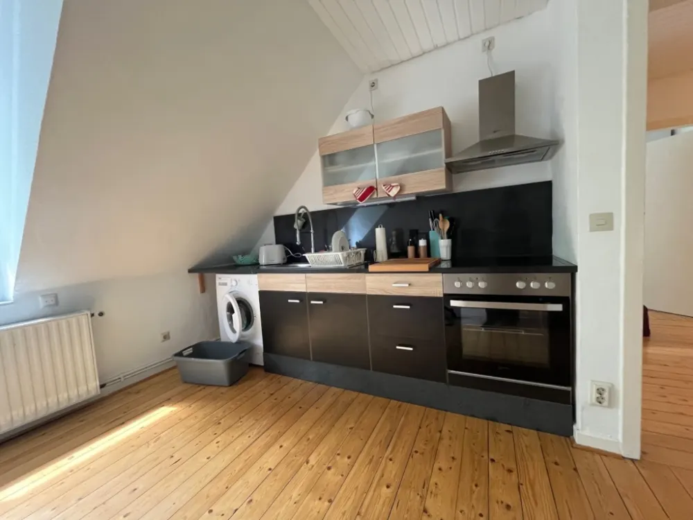 1.5 Room Apartment (Fully Furnished) for Sublease