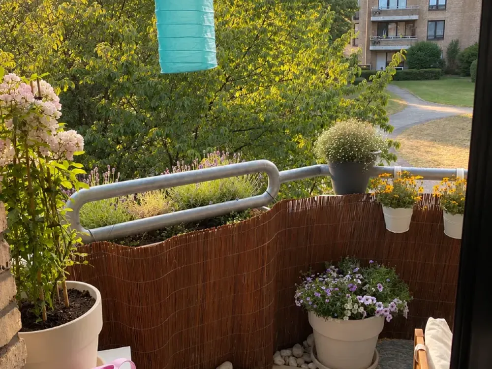 Beautiful 2-Room Apartment in Düsseldorf-Niederkassel with Underground Parking Space