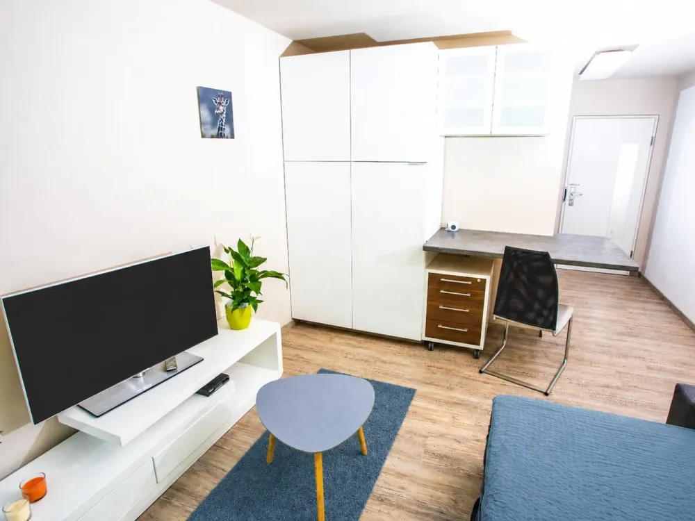 Möblierte 1-Zimmer-Wohnung in sehr zentraler Lage