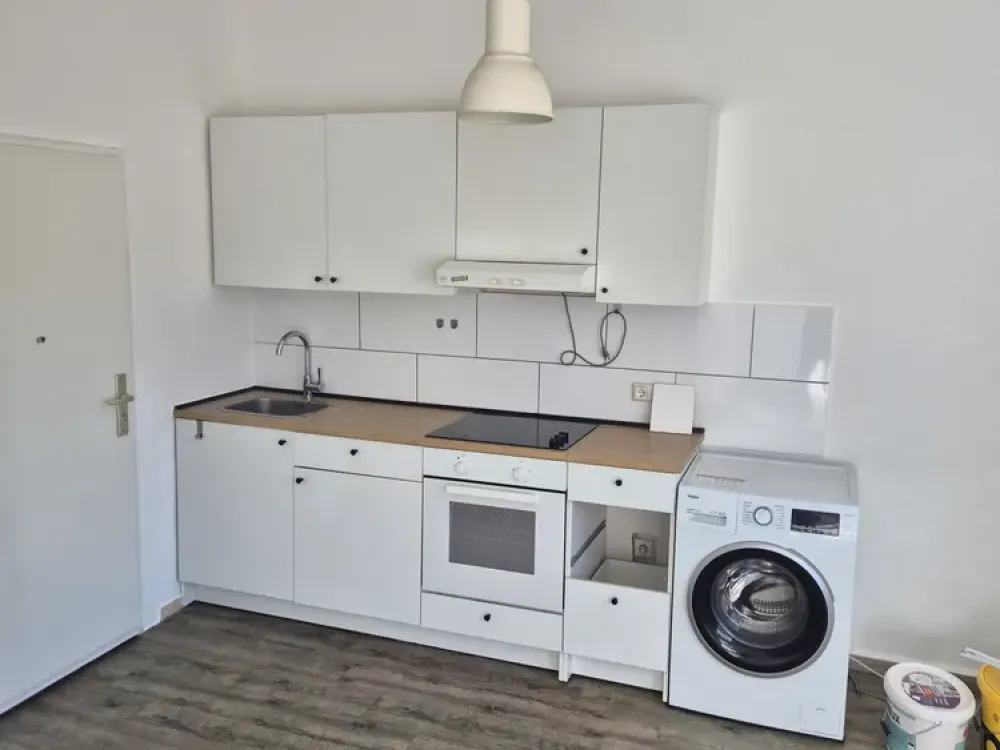 Modernes 1-Zi-Apartment mit Küche und modernem Bad.