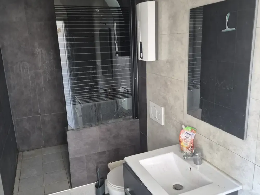Modernes 1-Zi-Apartment mit Küche und modernem Bad.