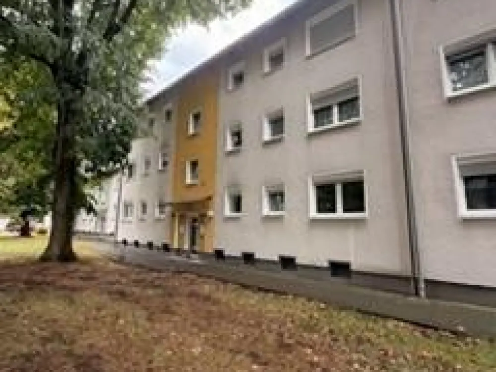 Renovierte EG- Wohnung im ruigen Holsterhausen!