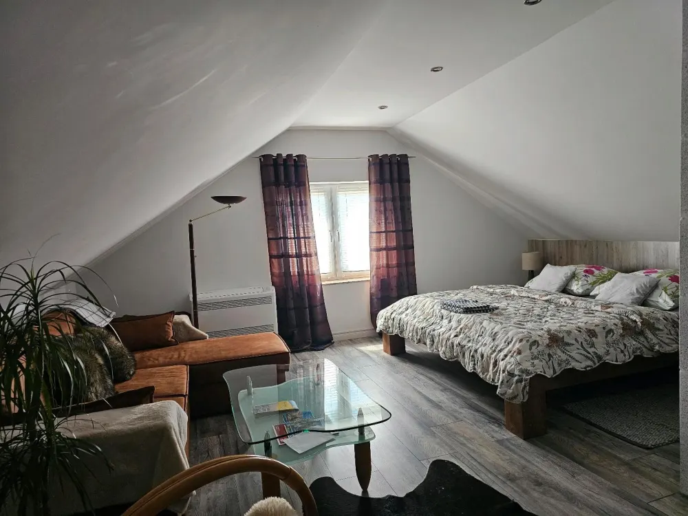 Möbliertes Appartement für Berufstätige! 34m2 - 850€ All inkl