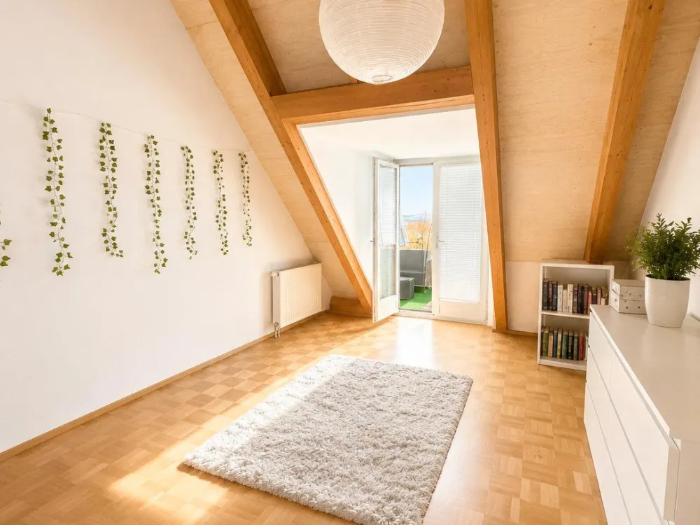 3-Room Attic Apartment in Ochsenhausen