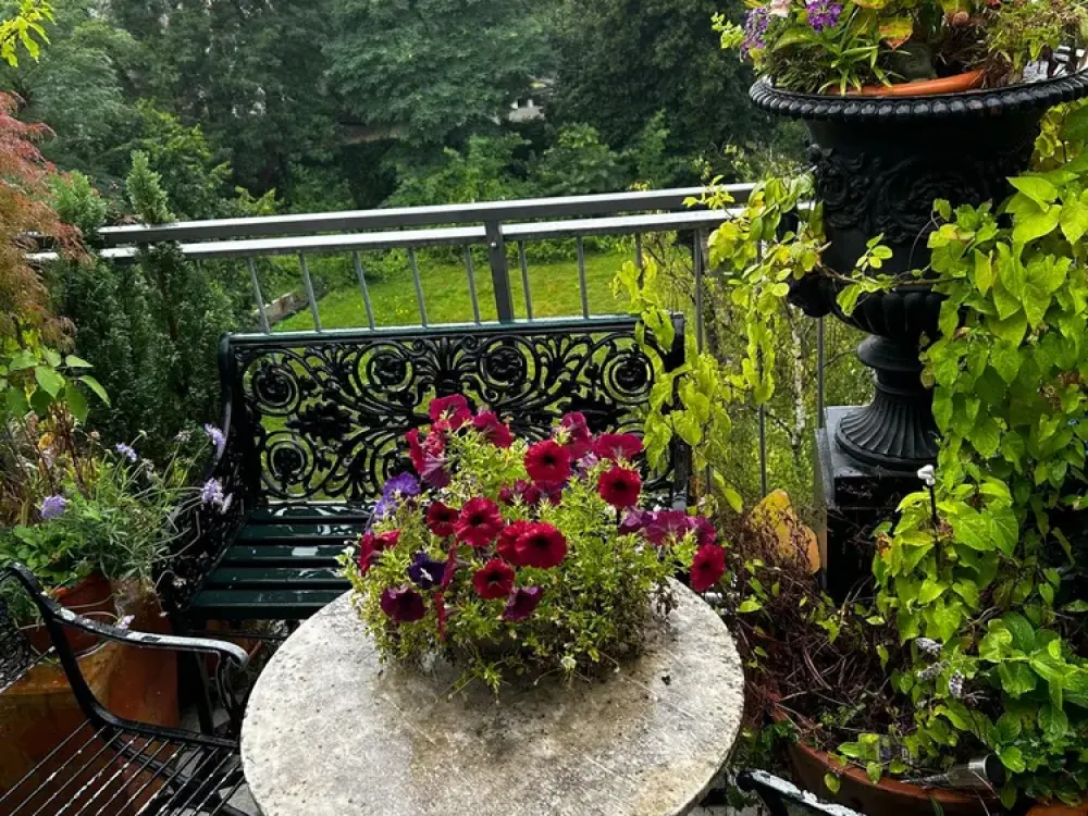Möblierte 2-Zimmer-Wohnung mit große Terrasse in Düsseldorf-Oberkassel