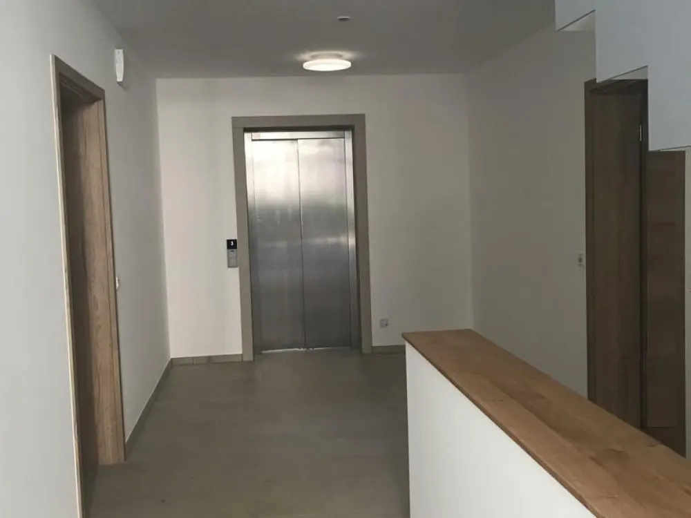 Dreieich Buchschlag - Hochwertig & luxuriös mit Wow-Charakter! Neubau-Wohnungen direkt am Wald