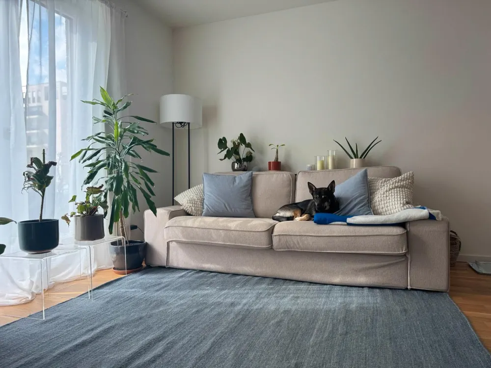 Zweitbezug - Gartenwohnung im Schönhofviertel
