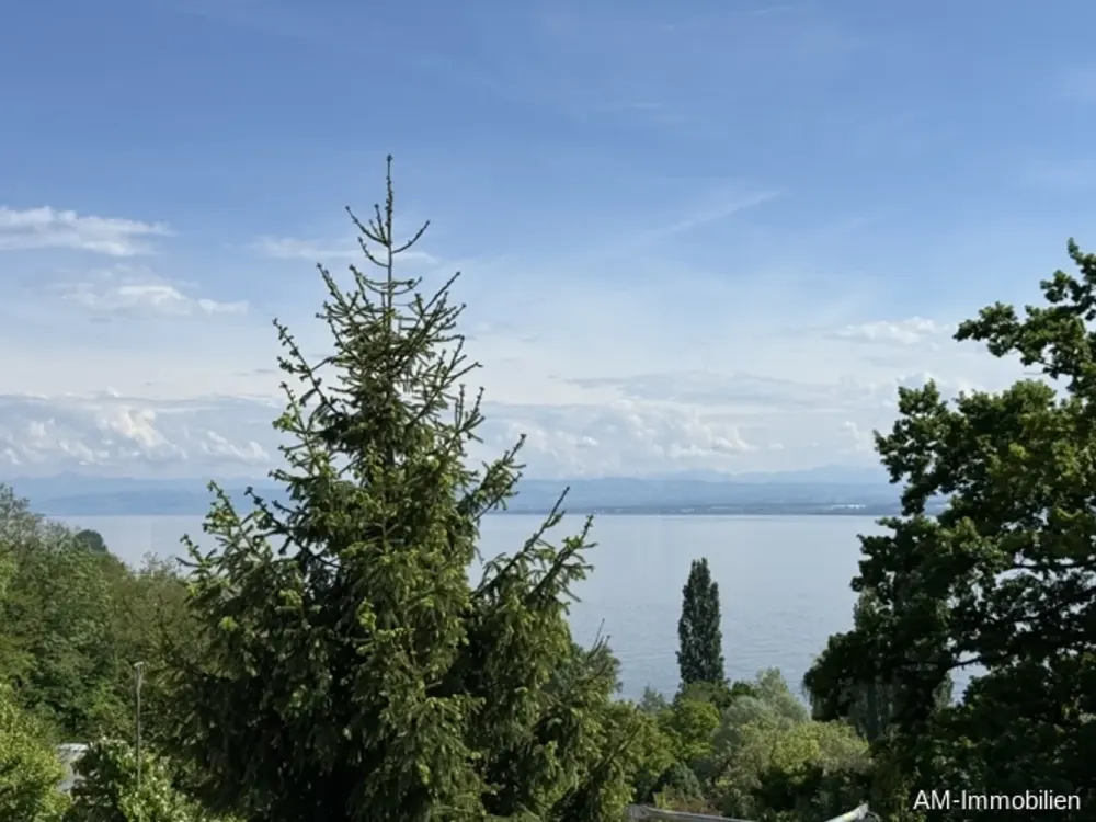 Logenplatz über dem See! Maisonette-Wohnung mit eigenem Eingang in 1-A-Lage!