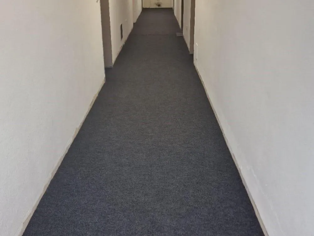 1*Room Apartment (Show Apartments)