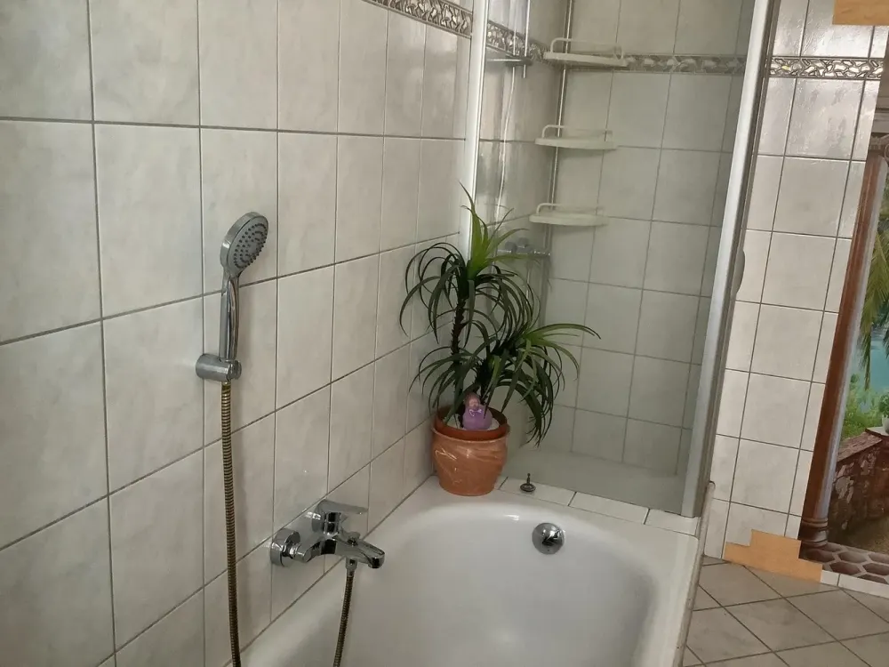 Stilvolle 2 Raum Wohnung Lichtdurchflutet / Zentrumsnah
