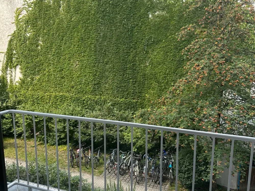 Helles und wunderschönes WG-Zimmer in zentraler, ruhiger Lage