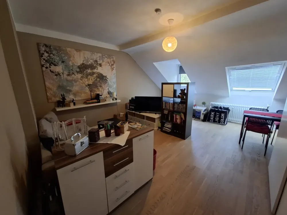 Suche Nachmieter ab 01.12.2026 für tolle Dachgeschosswohnung in Pempelfort