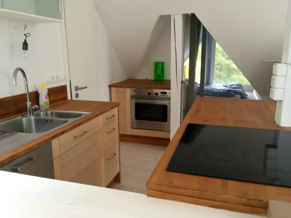 AB FEBR. 2027 Idyllische Dachwohnung mit Ausblick, gr. Garten, nette Hausgemeinschaft