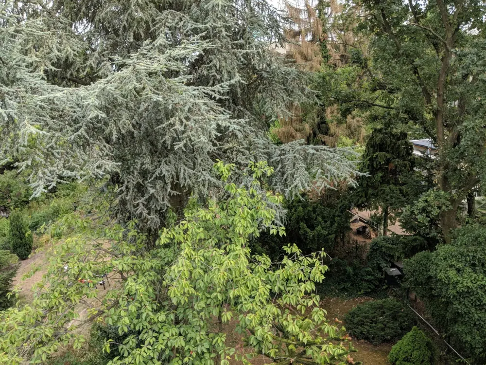 Attraktive 1 Zimmer-Appartement mit Blick ins Grüne in Düsseldorf-Heerdt