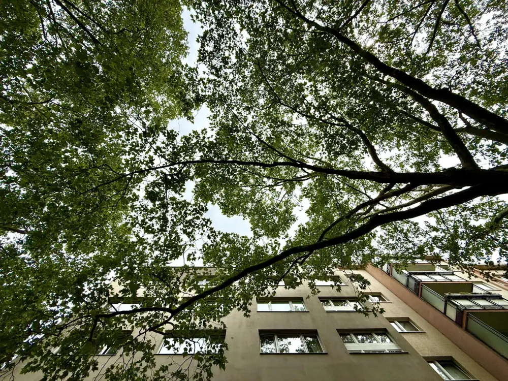 Betreutes Wohnen ab 50 Jahre in der City-West!