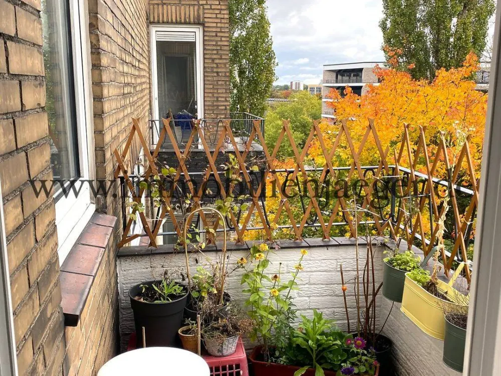 Hochhaus im 7.OG- Endetage - modernisierte Studio-Eckwohnung mit Balkon - zum 15.OKtober 2026