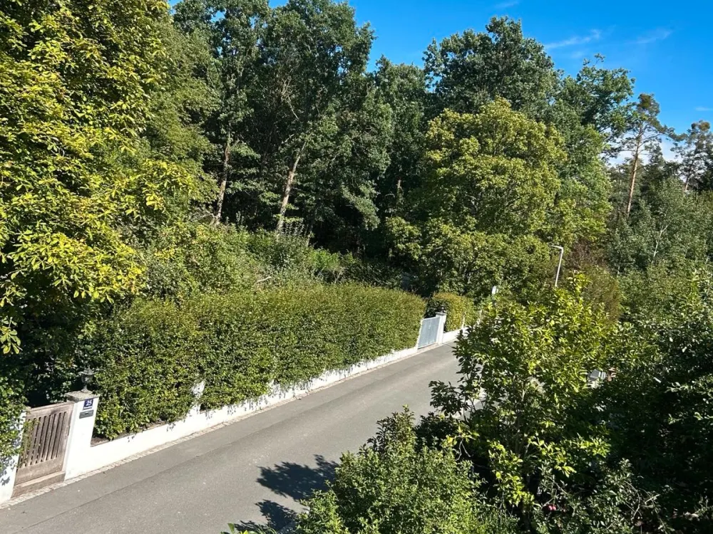 5-Zimmer-Wohnung mit 36 m² Dachterrasse in Bubenreuth am Wald