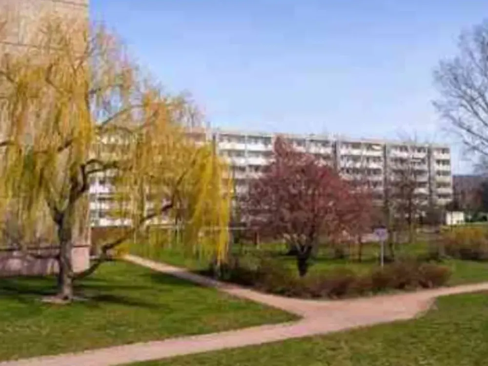 Schon gesehen? Sanierte 3-Raum-Wohnung ab November 2026 verfügbar
