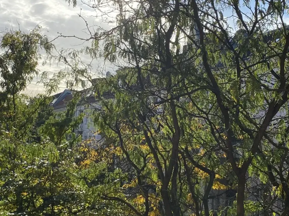 Westhafen Stuckaltbau, sonnig, grün, ruhig, Balkon, hohe Räume