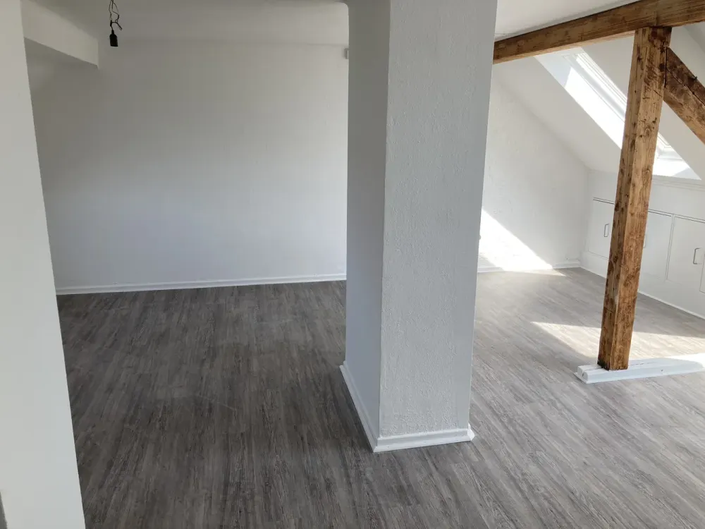 Attic Apartment for the Large Family (Apt. 7)