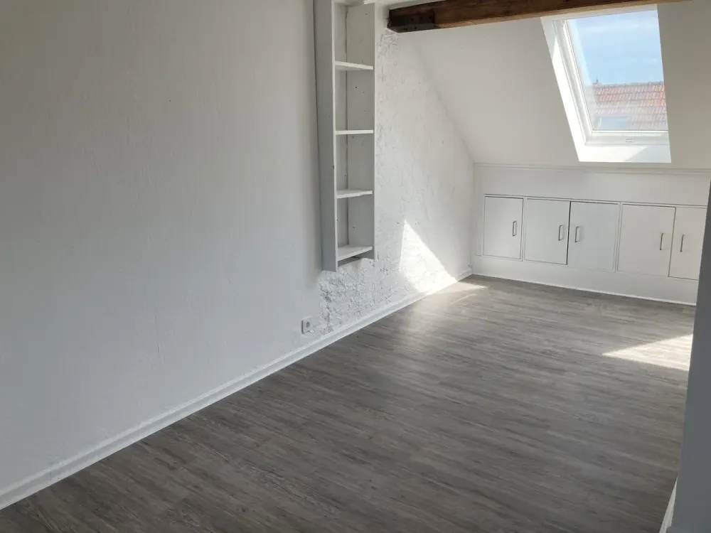 Attic Apartment for the Large Family (Apt. 7)