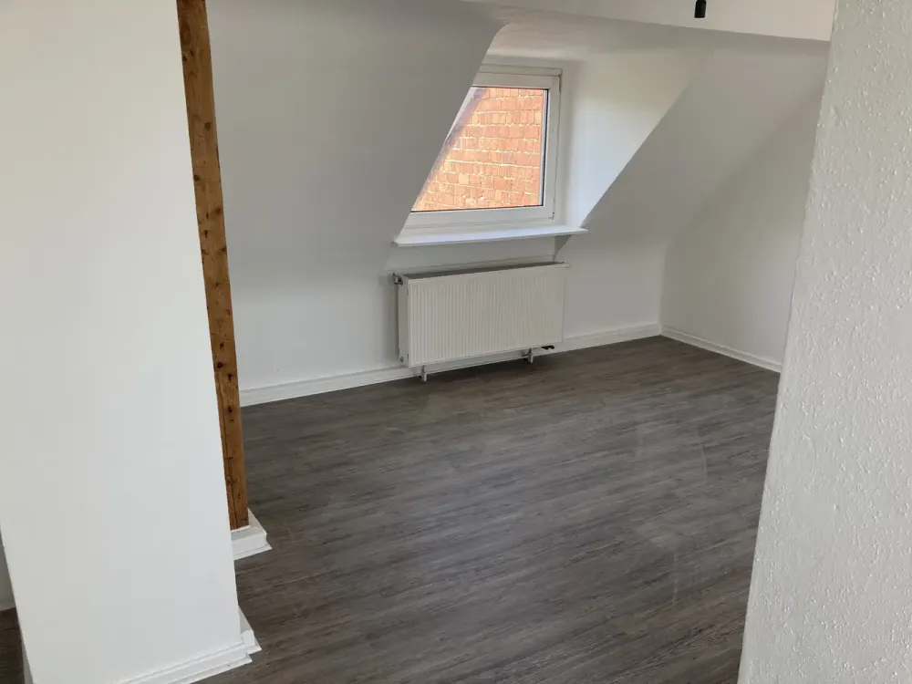 Attic Apartment for the Large Family (Apt. 7)