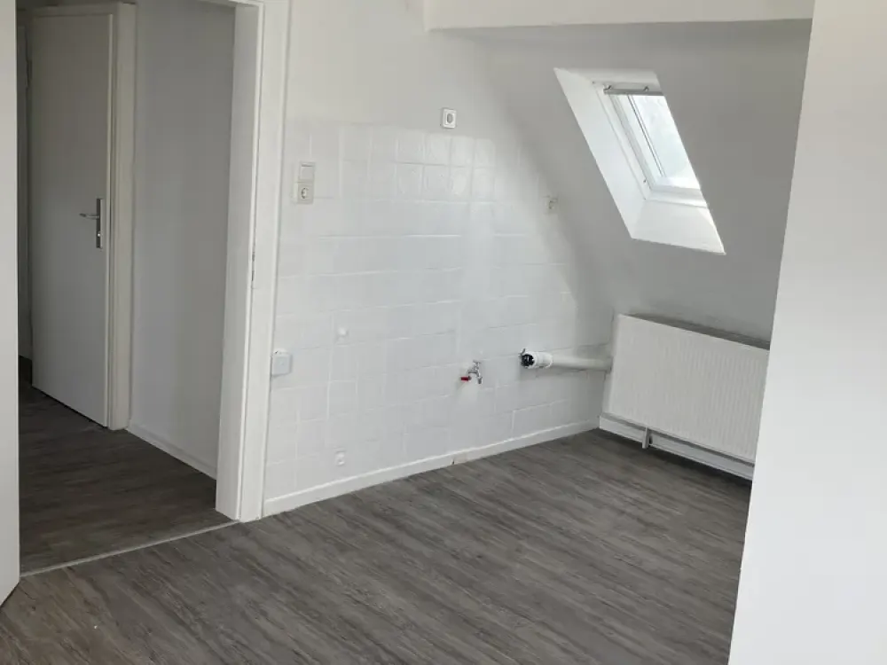 Attic Apartment for the Large Family (Apt. 7)