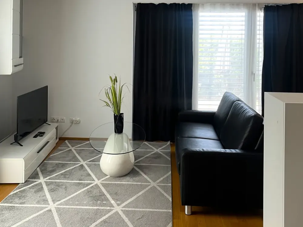 *sofort verfügbar* Single-Apartment mit Terrasse, möbliert & ausgestattet, zentral in Mörfelden
