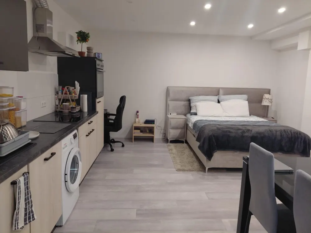 Lichtdurchflutete 1-Zimmer Untergeschosswohnung mit Einbauküche