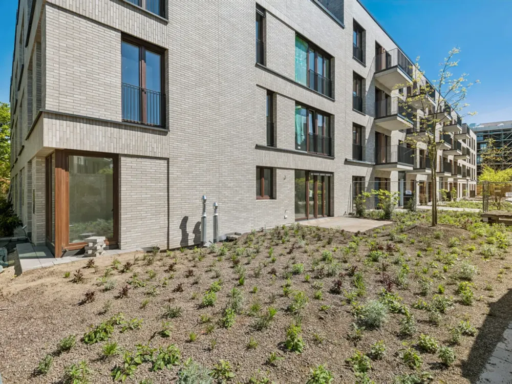 New Development Deiker Höfe: Spacious 2-Room Apartment with Fitted Kitchen and Terrace!