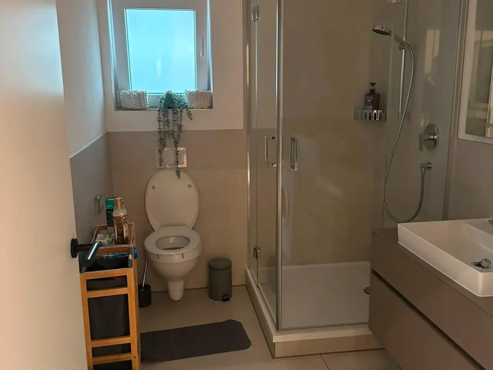 65 sqm 2-room rental apartment also commercially usable Uhldingen