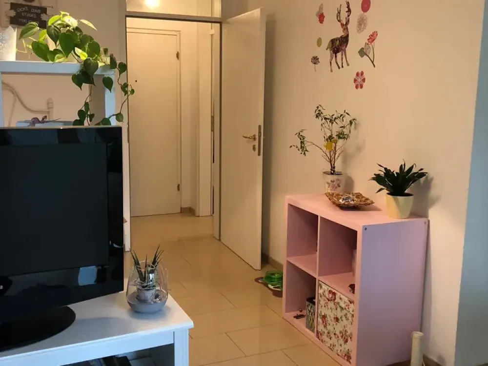 Accessible 1-Room Apartment with Terrace in Green Surroundings; Cellar; Underground Parking Space