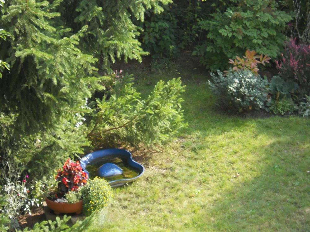 Freundliche, helle kleine Single-Wohnung mit viel Grün ...