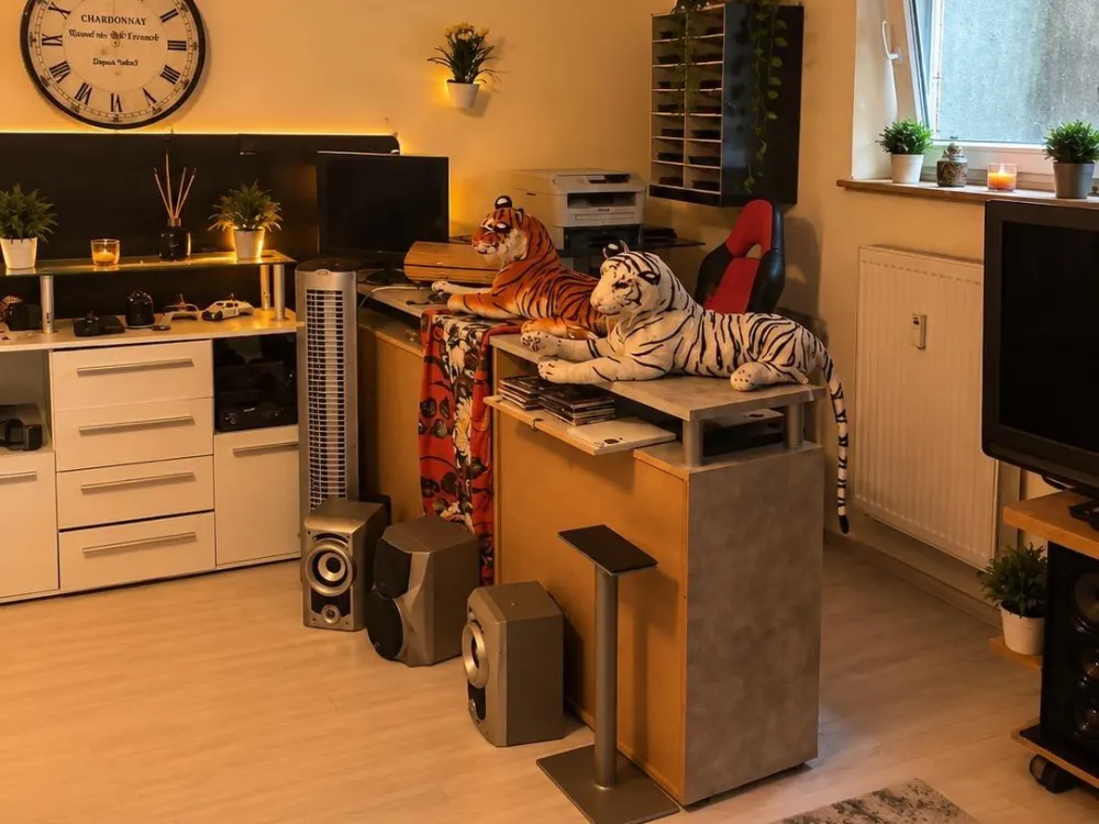 1 Room Apartment in 34246 Vellmar