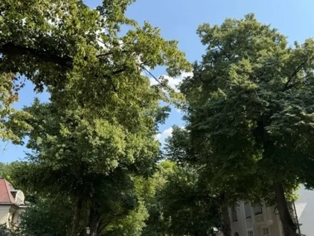 Dachterrasse gefällig? Wohnhighlight im Herzogpark zu vermieten