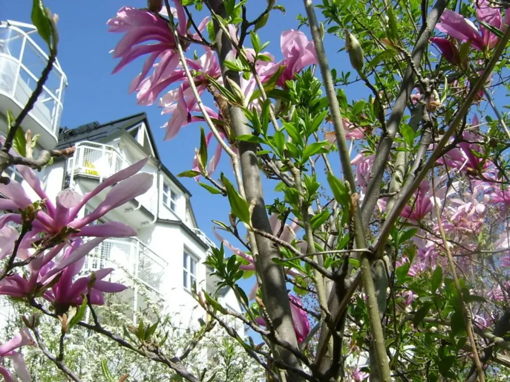 Sunny Maisonette Apartment - Partly Furnished on Request - For Rent!