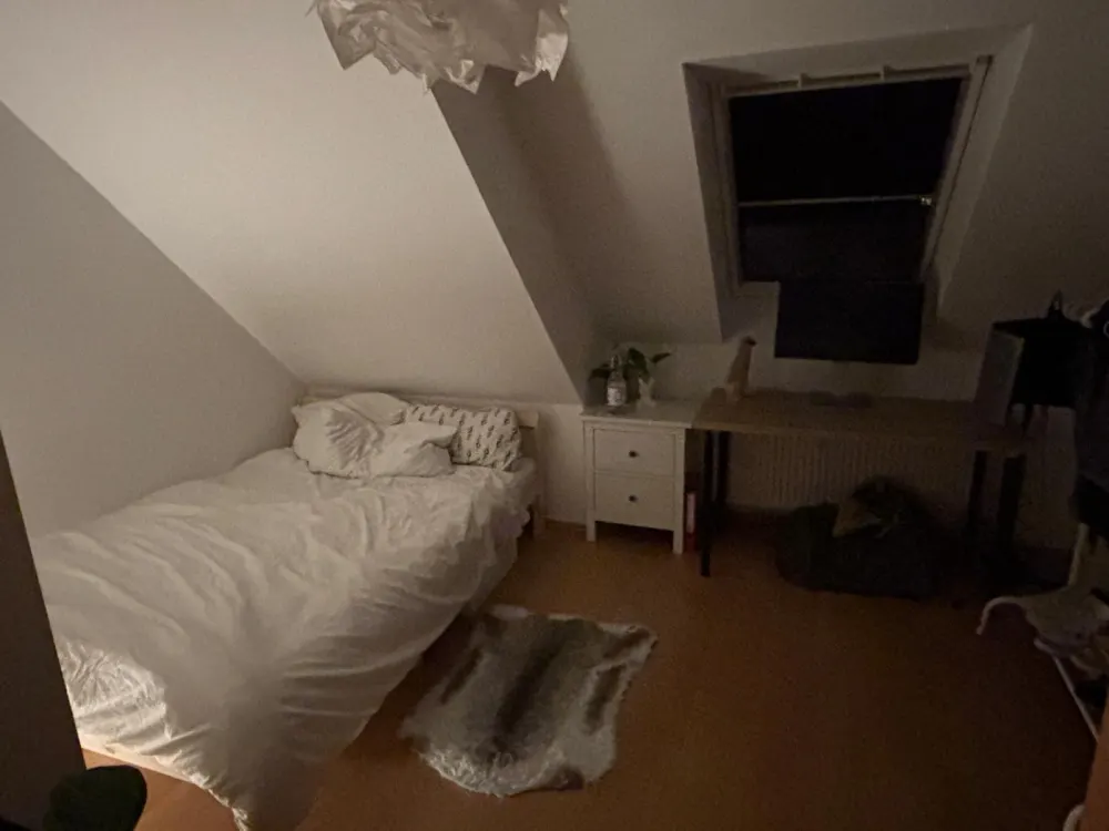 2 Zimmer Wohnung zur Miete