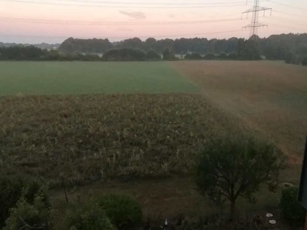 Wohnen mit der Natur. In Ruhe und Gemeinschaft