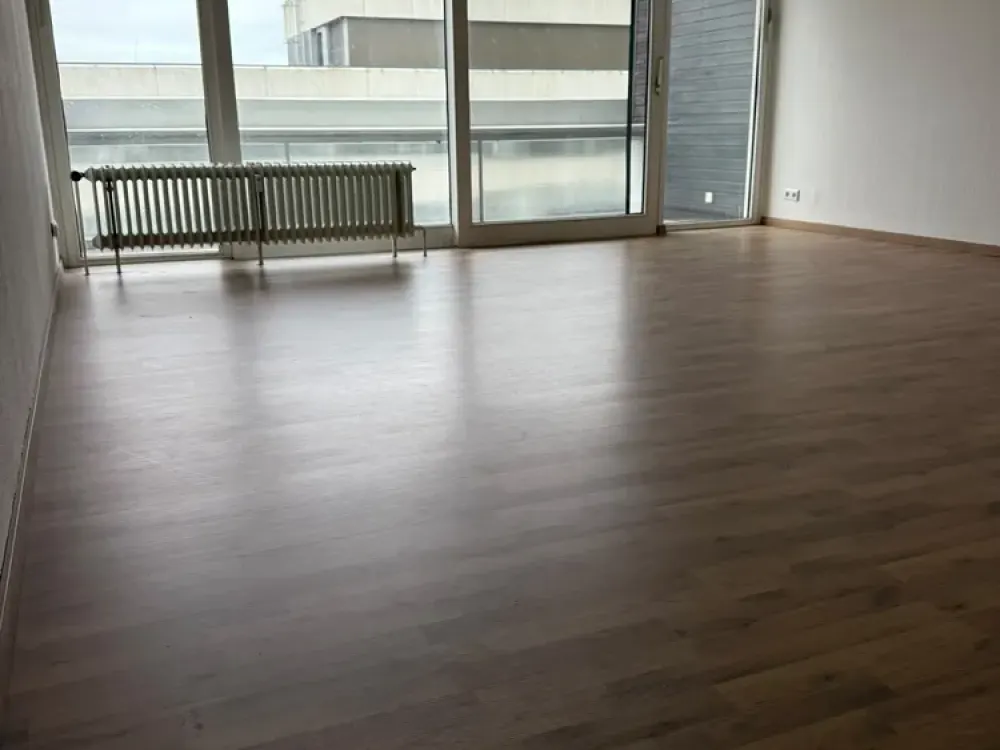 Large 2-Room Apartment in Linden-Mitte